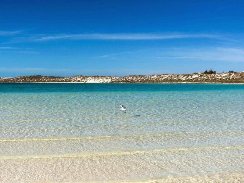 Coral bay beach